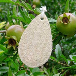 Load image into Gallery viewer, -Dual-Sided Loofah Sponge--ecofans---