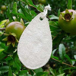 Load image into Gallery viewer, KS051-W-01-Dual-Sided Loofah Sponge--ecofans-1-White-Petal