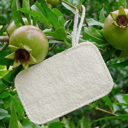 -Dual-Sided Loofah Sponge--ecofans---